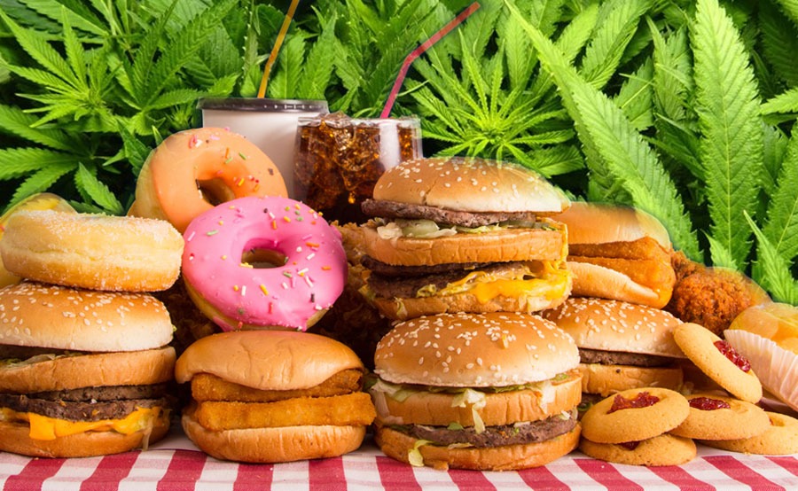 comida y marihuana