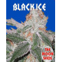Black Ice Feminizada