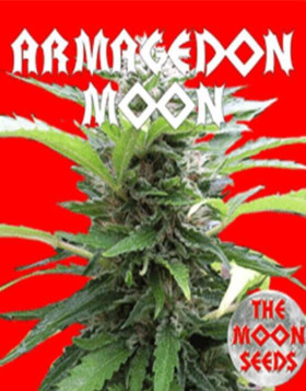 Armagedon Moon Feminizada