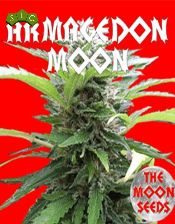 Armagedon Moon