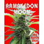 Armagedon Moon Feminizada