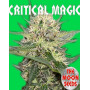 Critical Magic Feminizada