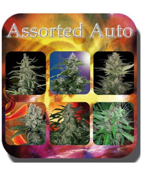 Assorted