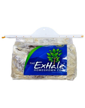 Exhale CO2 Bag