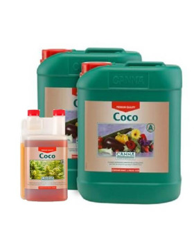 Coco A Canna