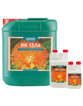 PK 13-14 Canna