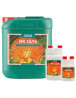 PK 13-14 Canna