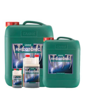 Rhizotonic Canna