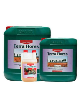 Terra Flores Canna