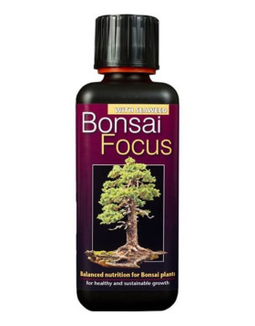 Bonsai Focus 300 ml Growth Technology