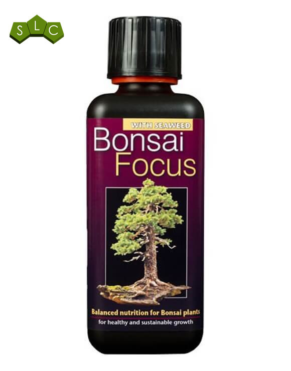 Bonsai Focus 300 ml Growth Technology