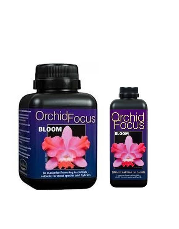 Orchid Focus Bloom Growth Technology