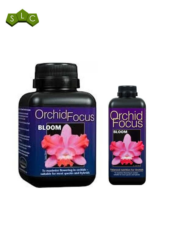 Orchid Focus Bloom Growth Technology