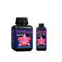 Orchid Focus Bloom Growth Technology