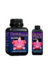 Orchid Focus Bloom Growth Technology