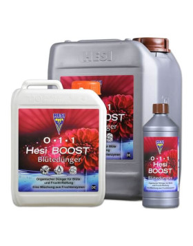 Boost Hesi