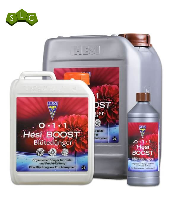 Boost Hesi