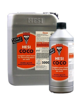 Coco Hesi