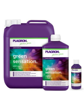 Green Sensation Plagron