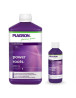 Power Roots Plagron