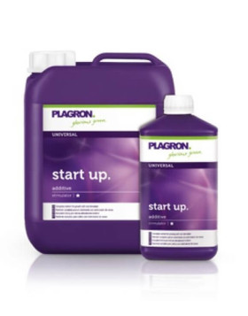 Star Up Plagron
