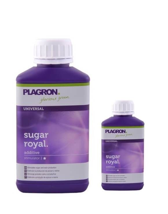 Sugar Royal Plagron