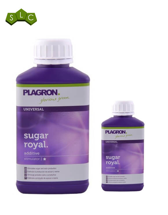 Sugar Royal Plagron