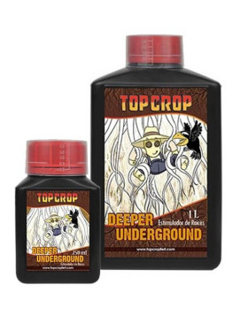 Deeper Underground Top Crop