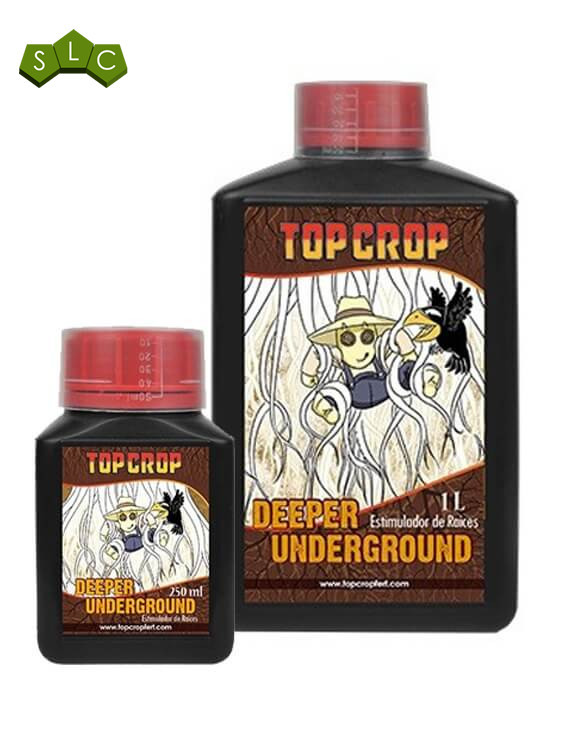 Deeper Underground Top Crop