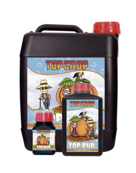 Top Bud Top Crop