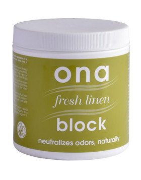 Ambientador ONA Block FL 170 g