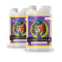 pH PERFECT CONNOISSEUR BLOOM