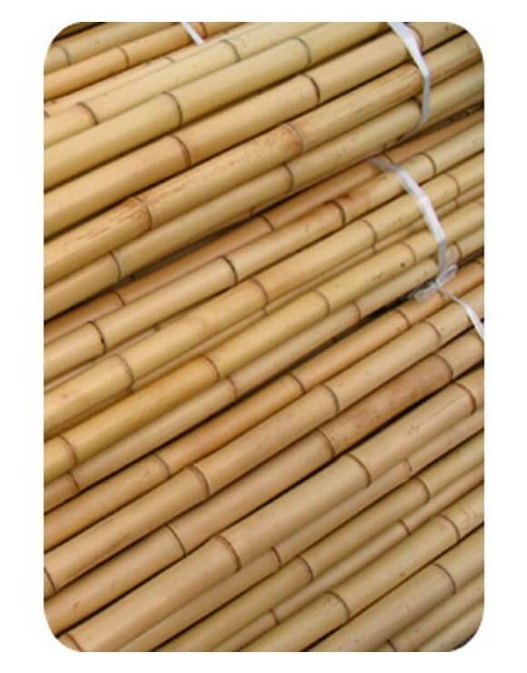 Tutor Bambú