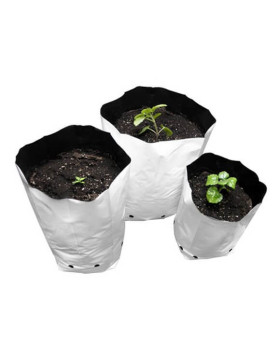 Bolsa de Cultivo Blanca