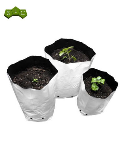 Bolsa de Cultivo Blanca