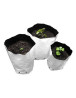 Bolsa de Cultivo Blanca