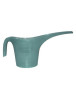 Regadera 2 L - Cuello Largo