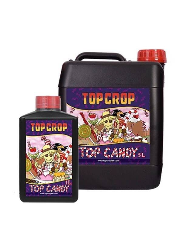 Top Candy Top Crop