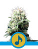 Dance World CBD Feminizada Royal Queen Seeds