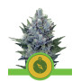 Northern Lights Autofloreciente Royal Queen Seeds