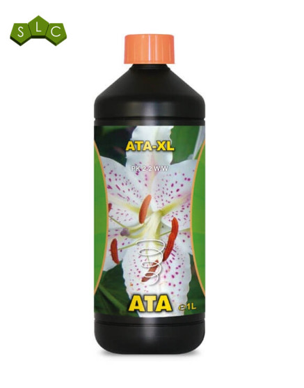 ATA - XL