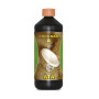 Coco Max A ATA