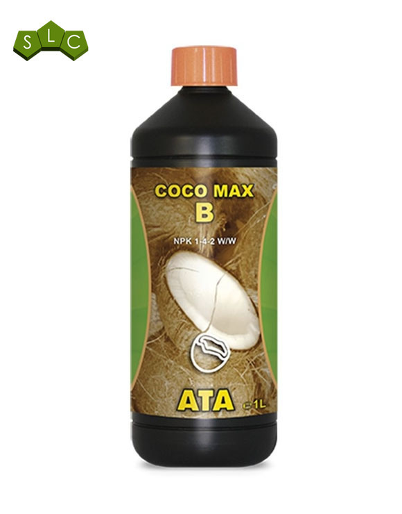 Coco Max A ATA