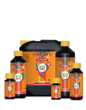 NRG Flower-C ATA
