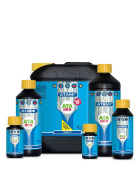 NRG Root-C ATA