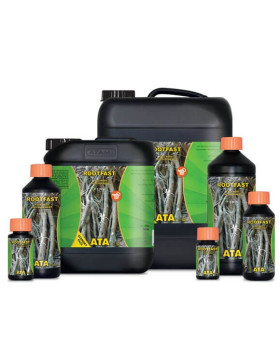 Rootfast ATA