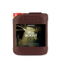 Bio Boost Canna