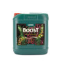 Boost Acelerator Canna