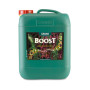 Boost Acelerator Canna