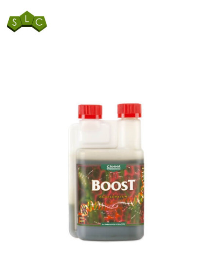 Boost Acelerator Canna
